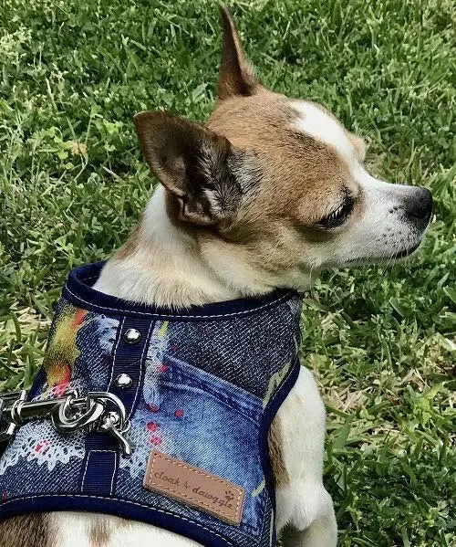 Denim Lace - The Tiny Denim Dog Harness Vest | 2 - 15 LBS  ****FINAL SALE ****